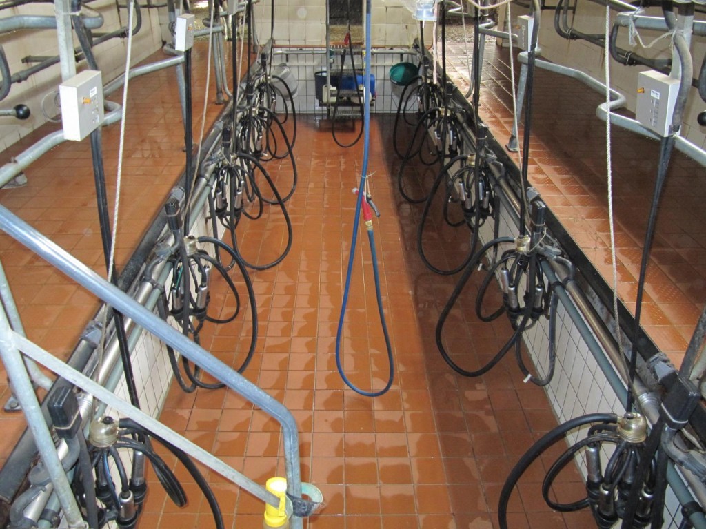 K1600_IMG_1117-1024x768