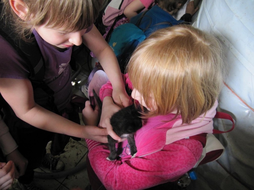 K1600_IMG_1120-1024x768