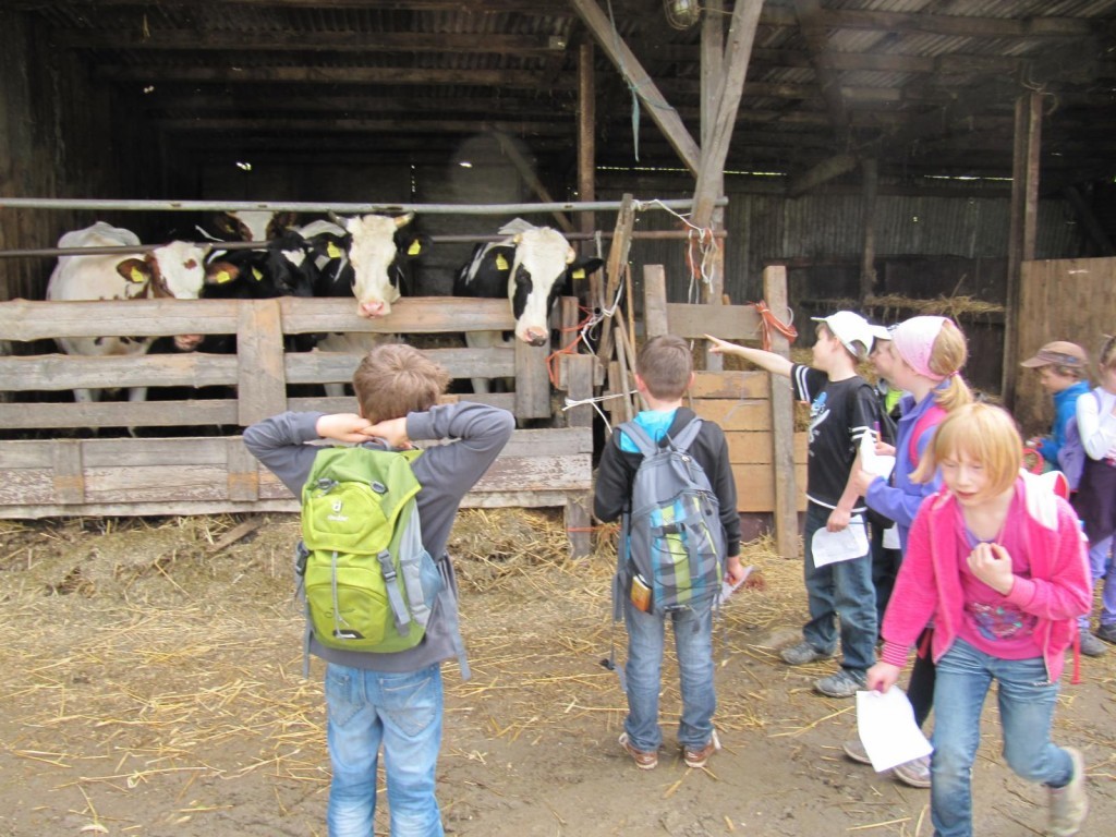 K1600_IMG_1121-1024x768