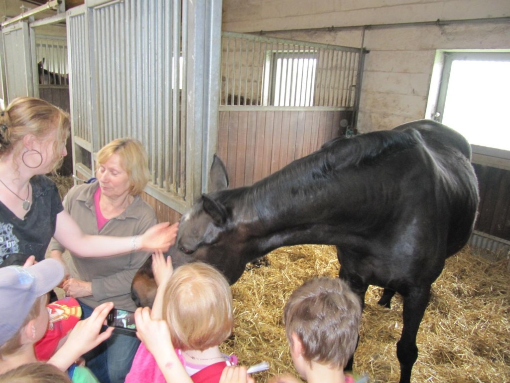 K1600_IMG_1133-1024x768