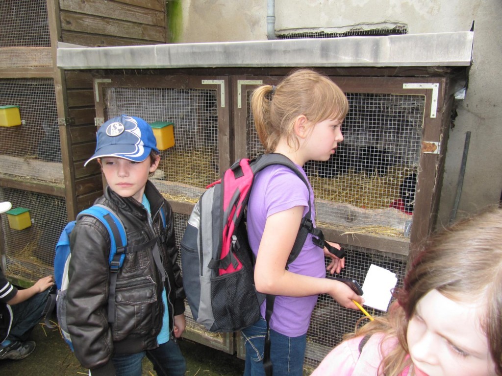 K1600_IMG_1141-1024x768