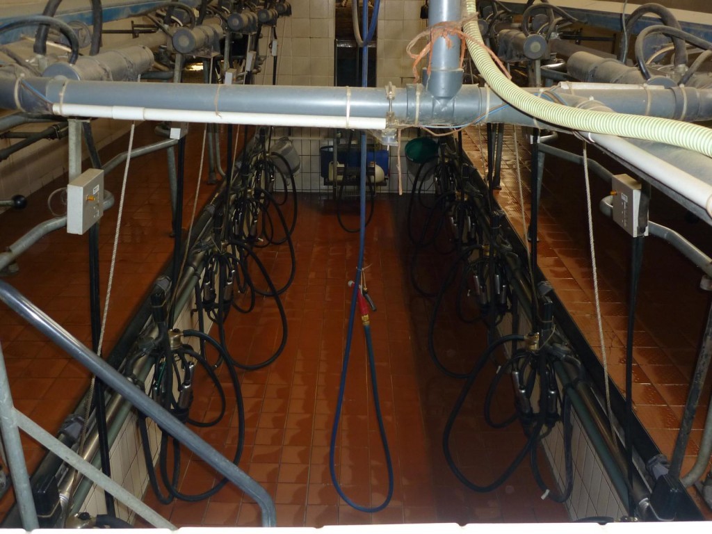 K1600_P1010188-1024x768