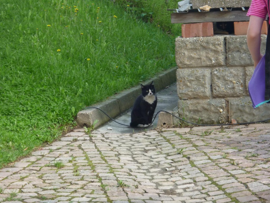 K1600_P1010203-1024x768